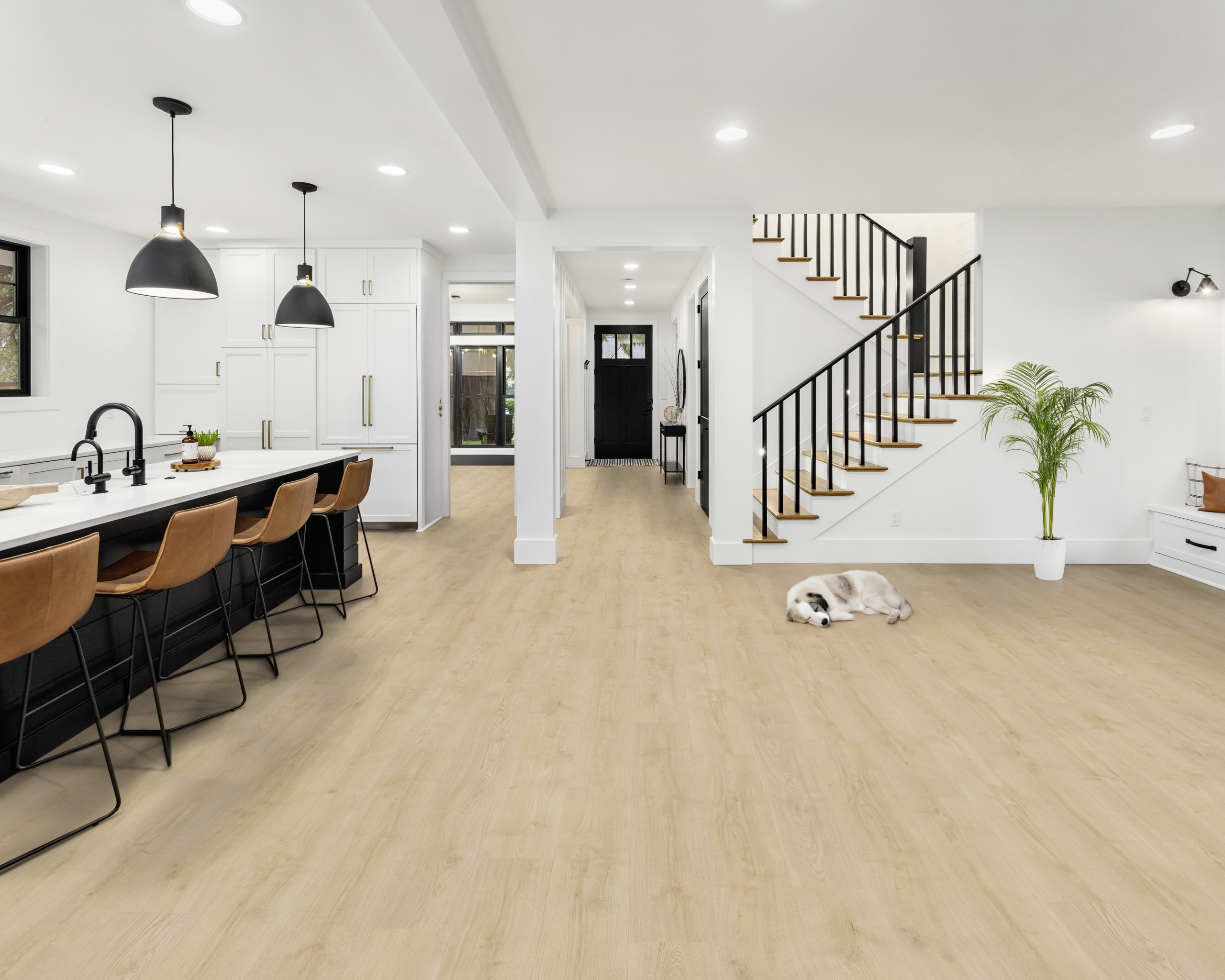 Product Interior